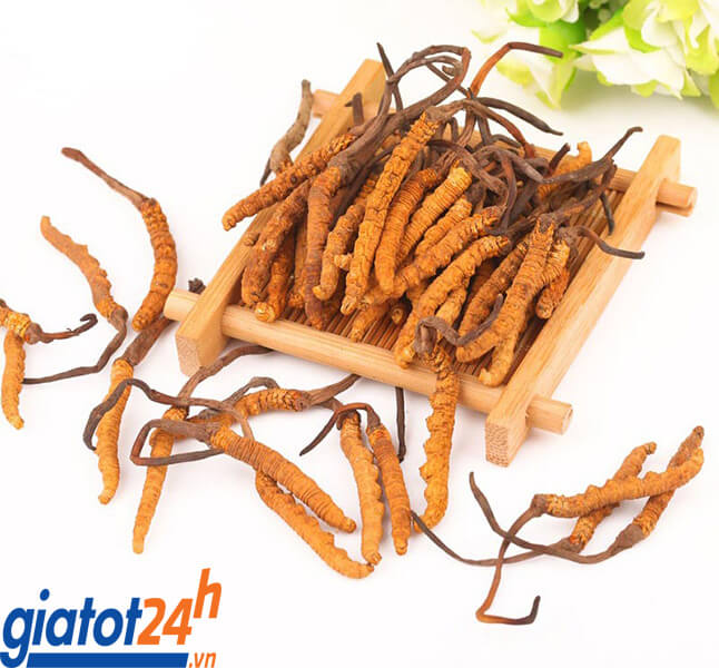 Khỏe mạnh mỗi ngày với Đông Trùng Hạ Thảo HK2! 6 Đông Trùng Hạ Thảo HK2 giá bao nhiêu