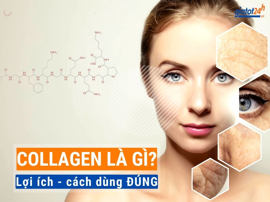 Collagen là gì? lợi ích và phân loại