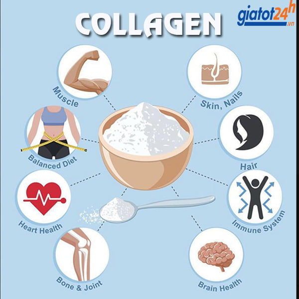 Collagen Là Thuốc Gì sự thật nên biết