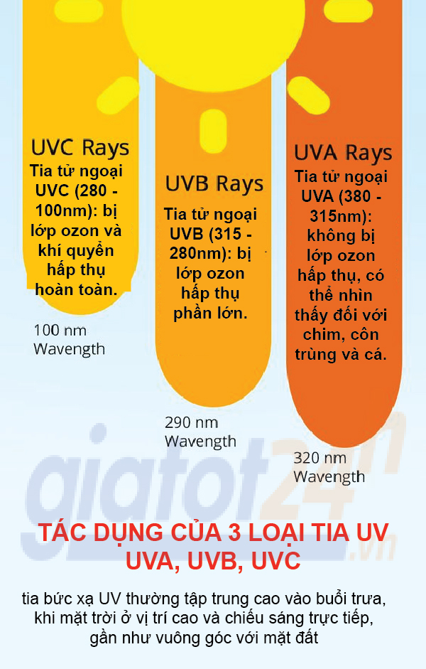 Tác dụng của tia UV với cơ thể bạn