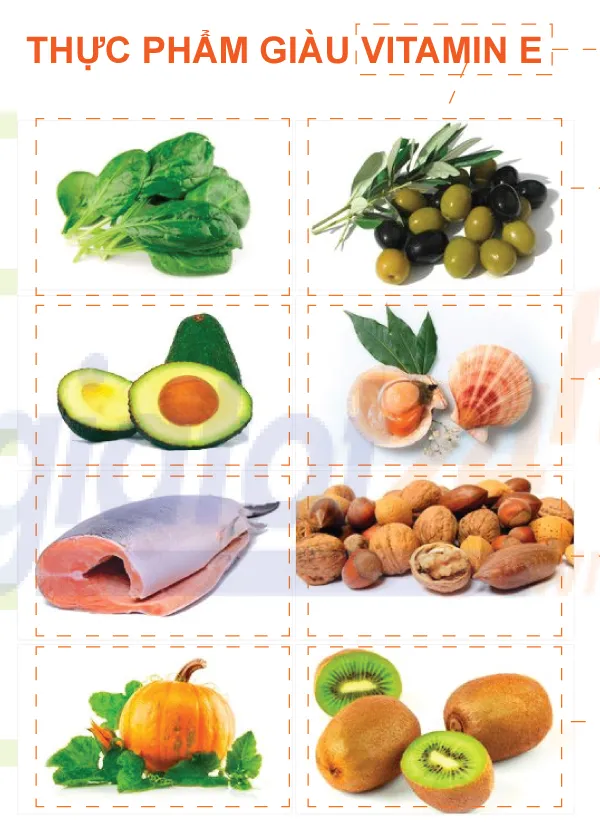 Nhóm thực phẩm giàu Vitamin E có trong các nhóm thức ăn sau