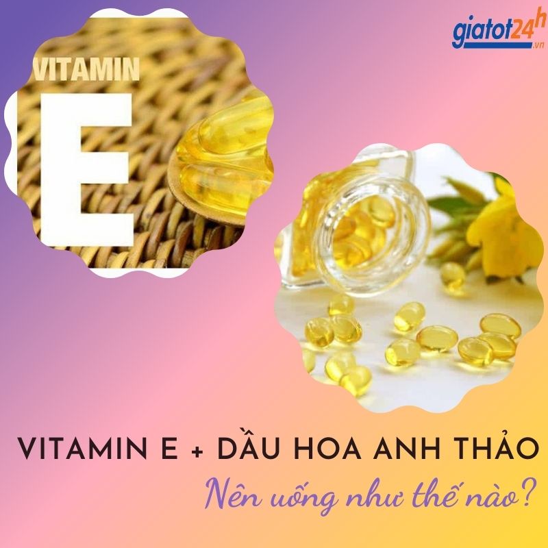 cách uống hoa anh thảo và vitamin e