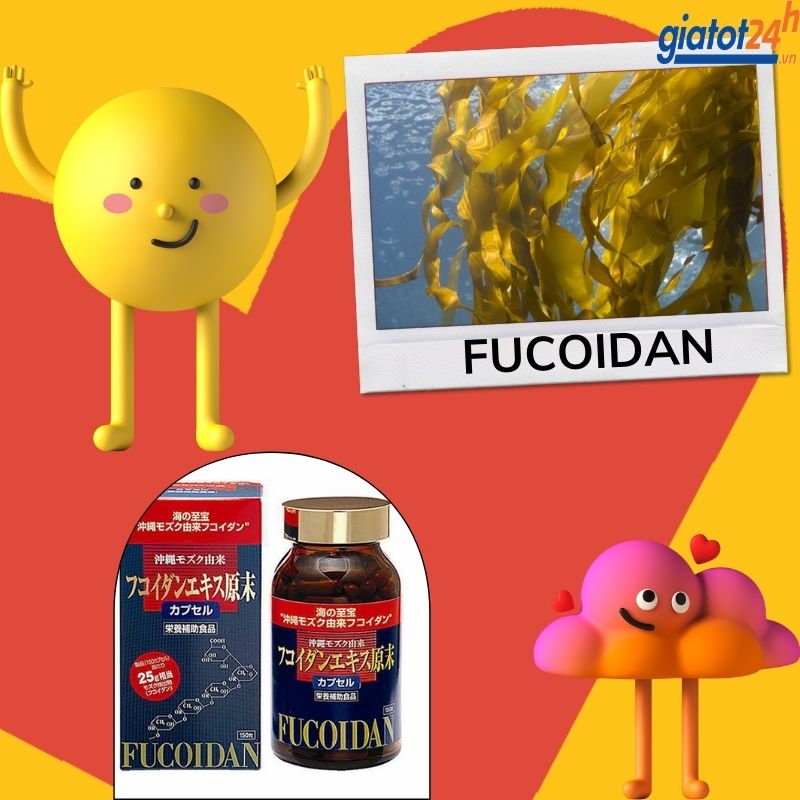 tảo nhật phòng chống ung thư