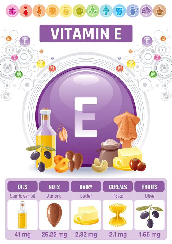thực phẩm chứa vitamin e là gì