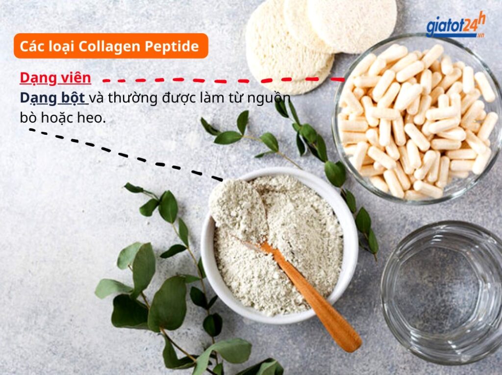 Có 2 loại Collagen Peptide
