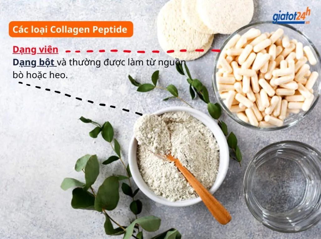 Có 2 loại Collagen Peptide