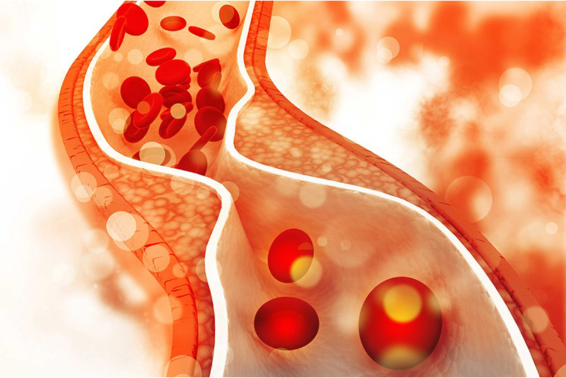 Có nên uống Vitamin E trước khi đi ngủ? 12 có nên uống vitamin E trước khi đi ngủ không tốt cho sức khỏe không