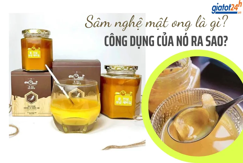 sâm nghệ mật ong là gì