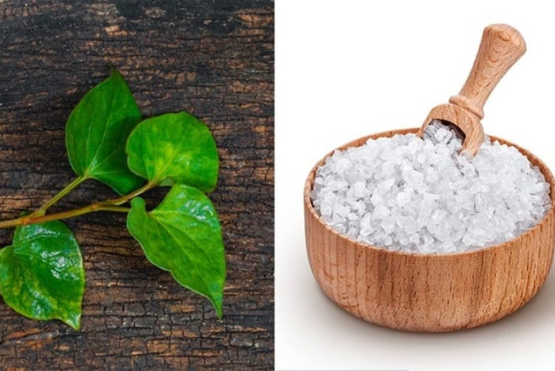 Khám phá tác dụng của rau diếp cá trị mụn 8 trị mụn bằng rau diếp cá bằng cách nào