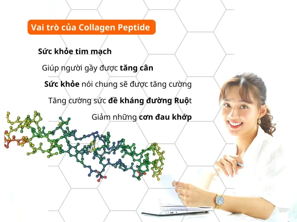 Vai trò Collagen Peptide với sức khỏe