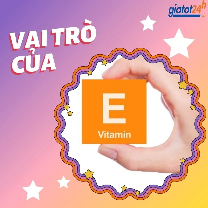 Vai trò của vitamin E