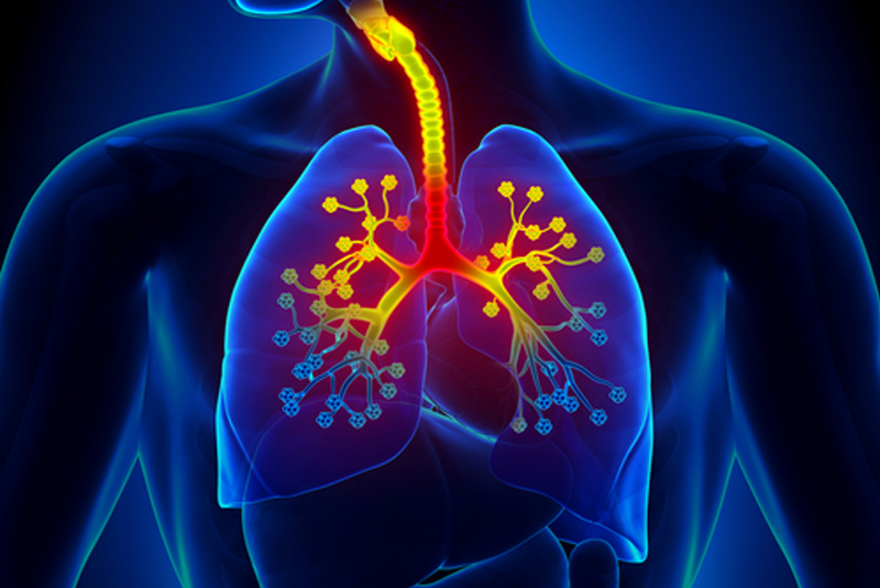 các bệnh về phổi thường gặp