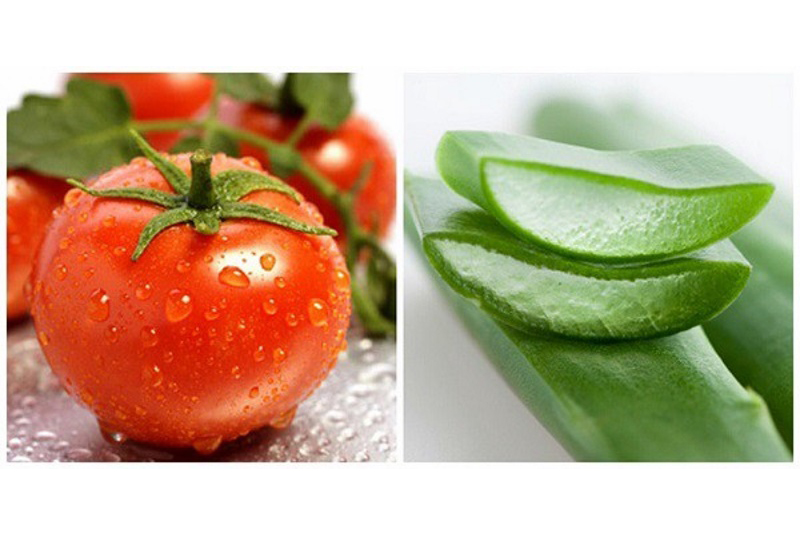 vitamin e trị thâm bằng cà chua nha đam