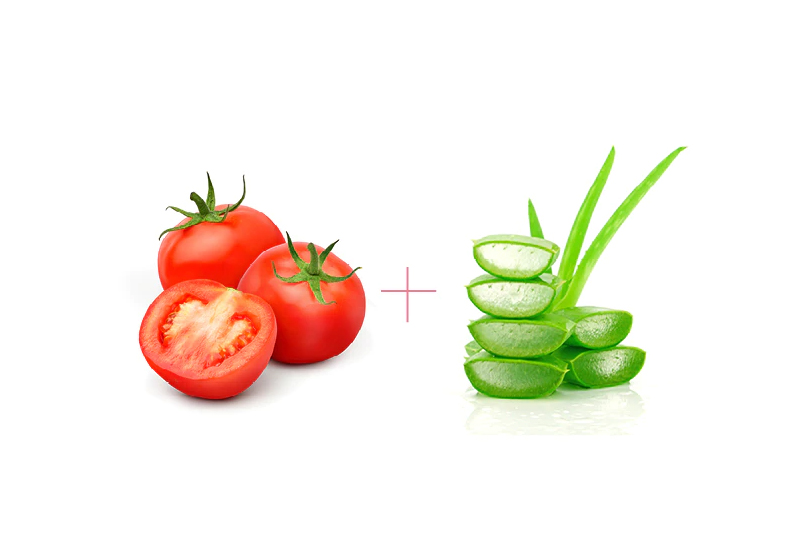 Cà chua và nha đam