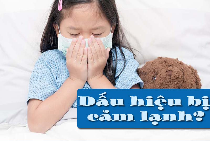 Bệnh cảm lạnh có nguy hiểm không? Nguyên nhân mắc bệnh 8 dấu hiệu bị cảm lạnh