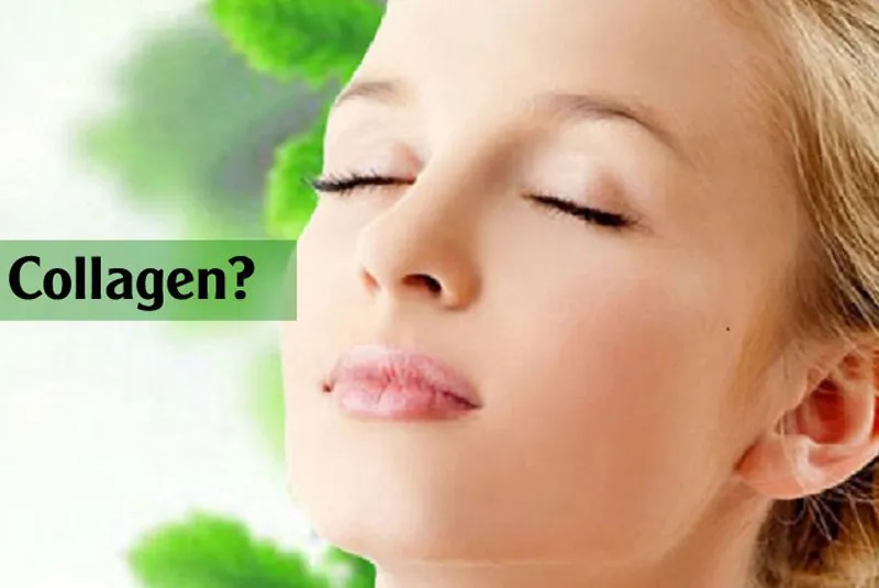 khái niệm collagen là gì