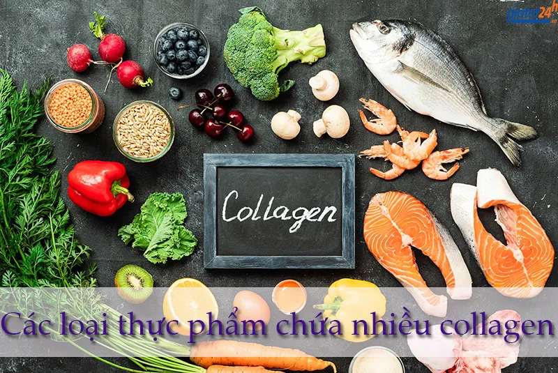 Thực phẩm chứa nhiều collagen