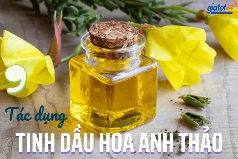 tác dụng tinh dầu hoa anh thảo