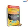 Sữa Ong Chúa Vitaflor Gelée Royale Bio 1500mg Pháp